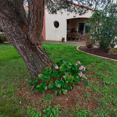 D'hotes - Acrifolia