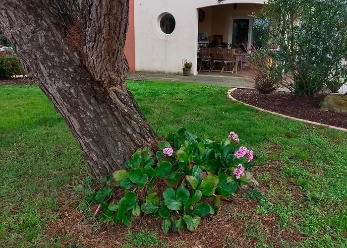 D'hotes - Acrifolia 3*